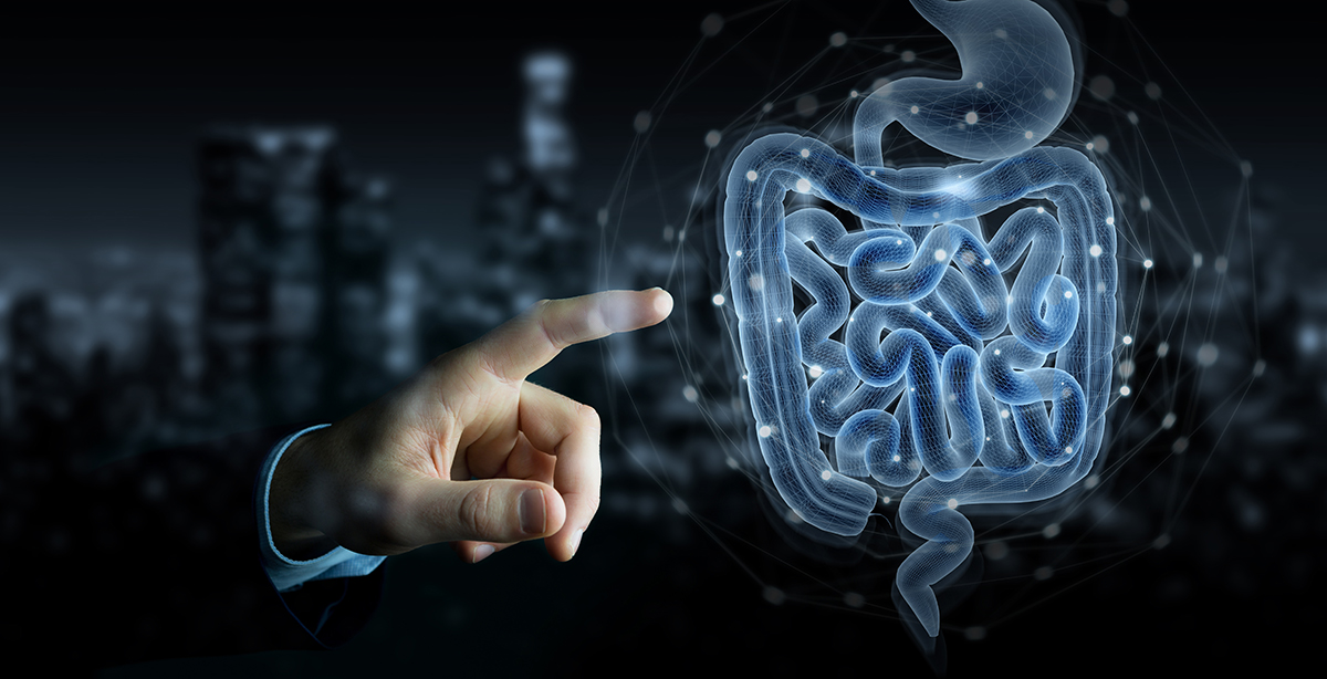 What Doctors Look for During a Colonoscopy Procedure Atlanta